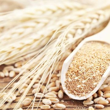 dietary fibers and pre-biotics