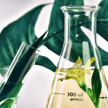 organic herbal extracts